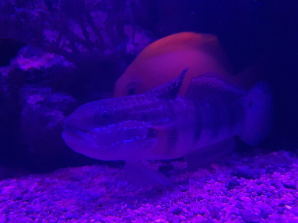 20180727_224726.jpg
