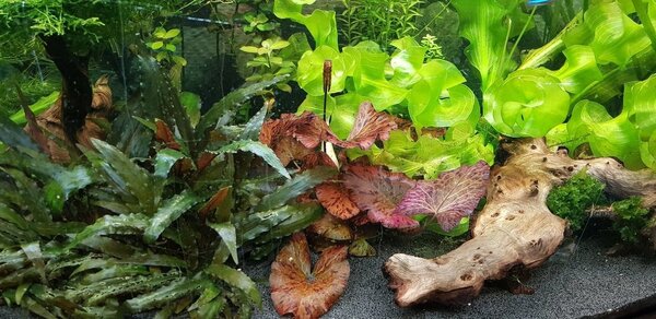 20180730_172408.jpg