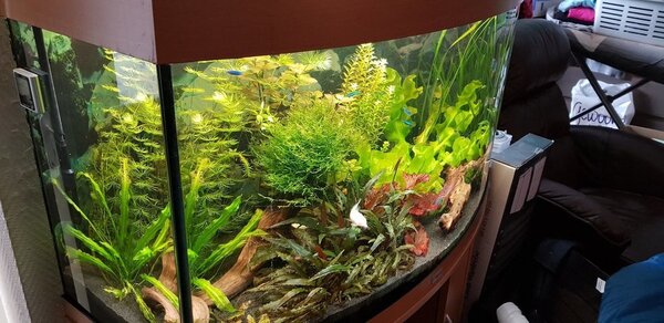 20180730_172425.jpg
