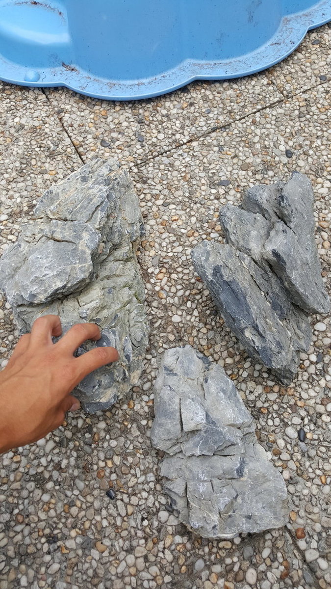 20180730_195658.jpg