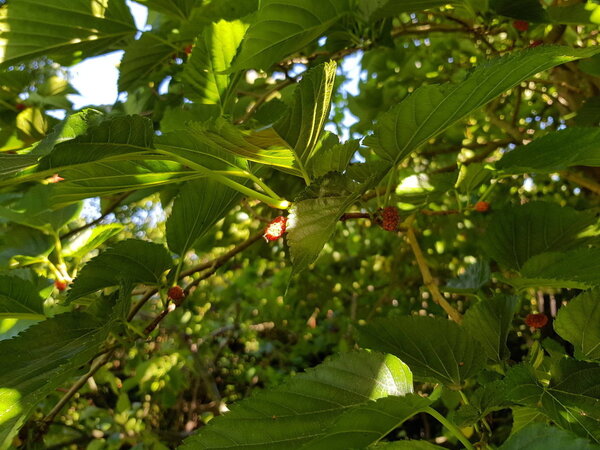 20180731_164240.jpg