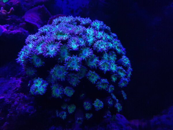 20180801_224959.jpg