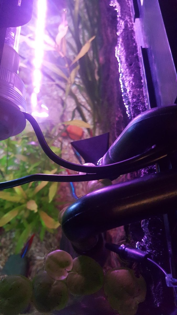 20180804_222555.jpg