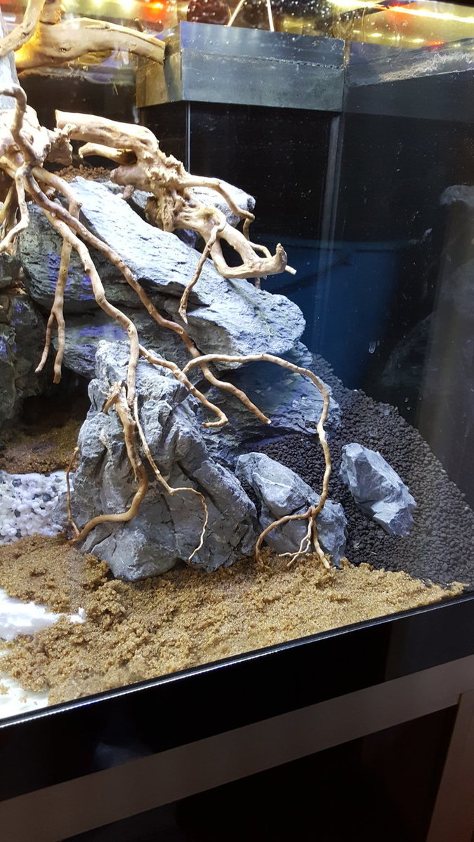 20180805_192147.jpg
