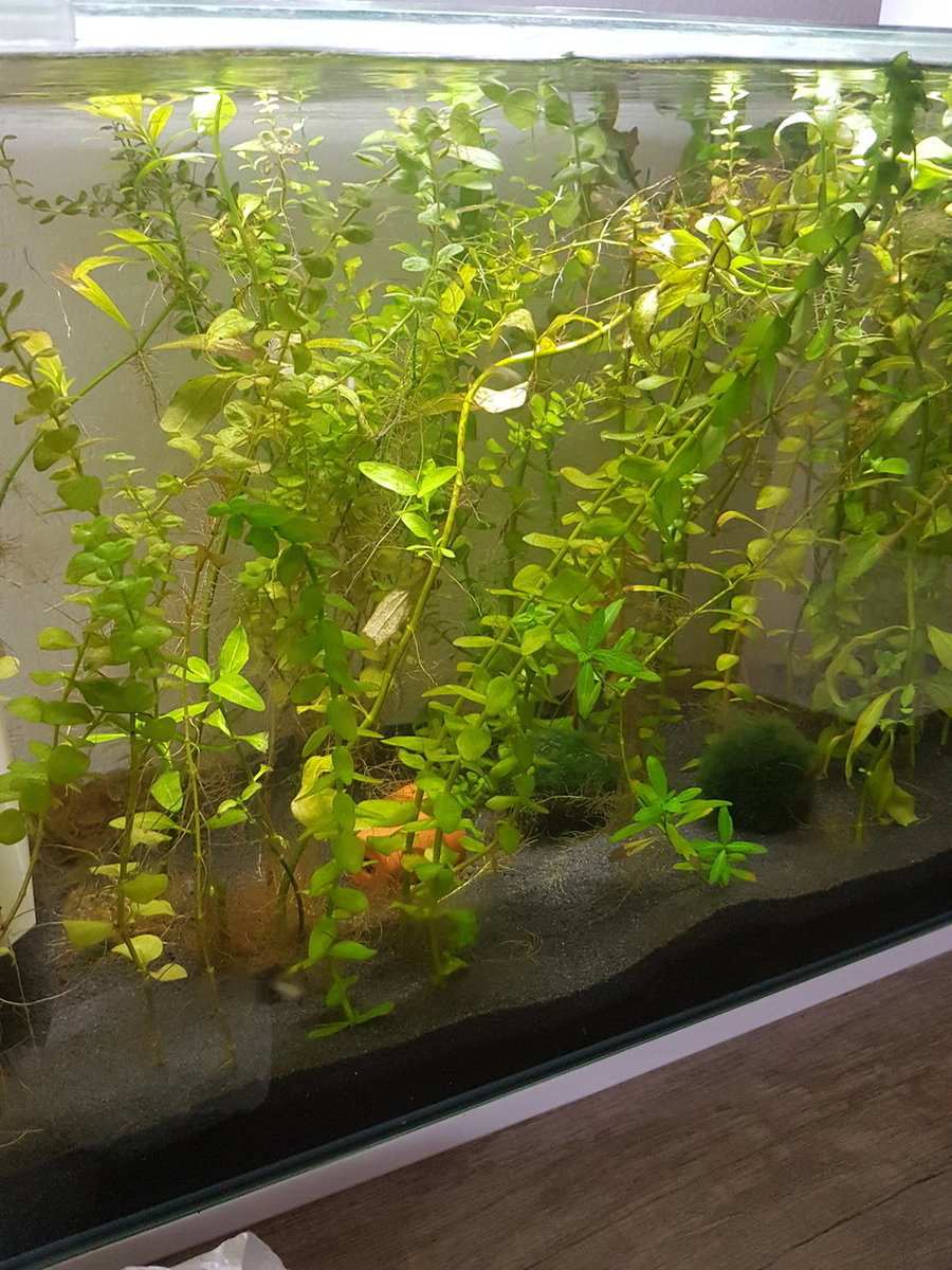 20180807_200743.jpg