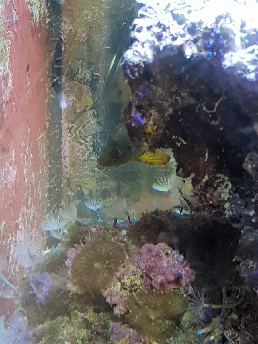 20180811_101429.jpg