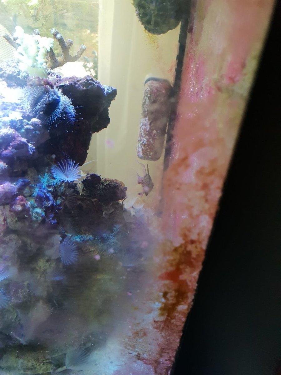 20180811_101444.jpg