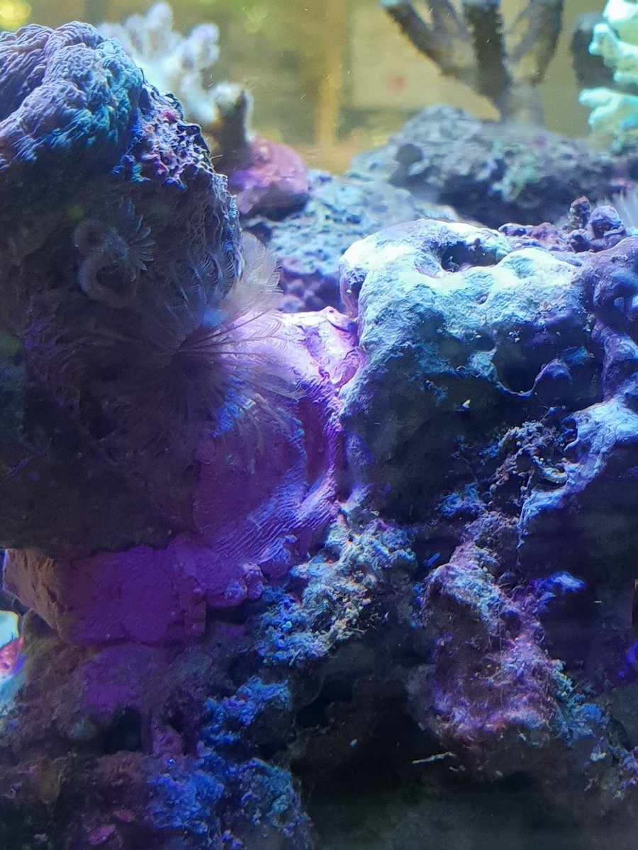 20180811_101935.jpg