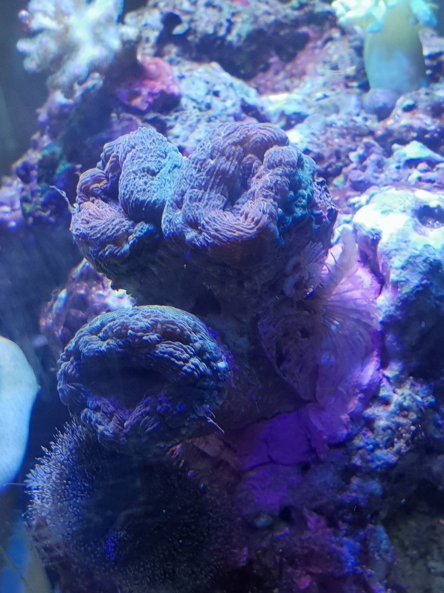 20180811_125828.jpg