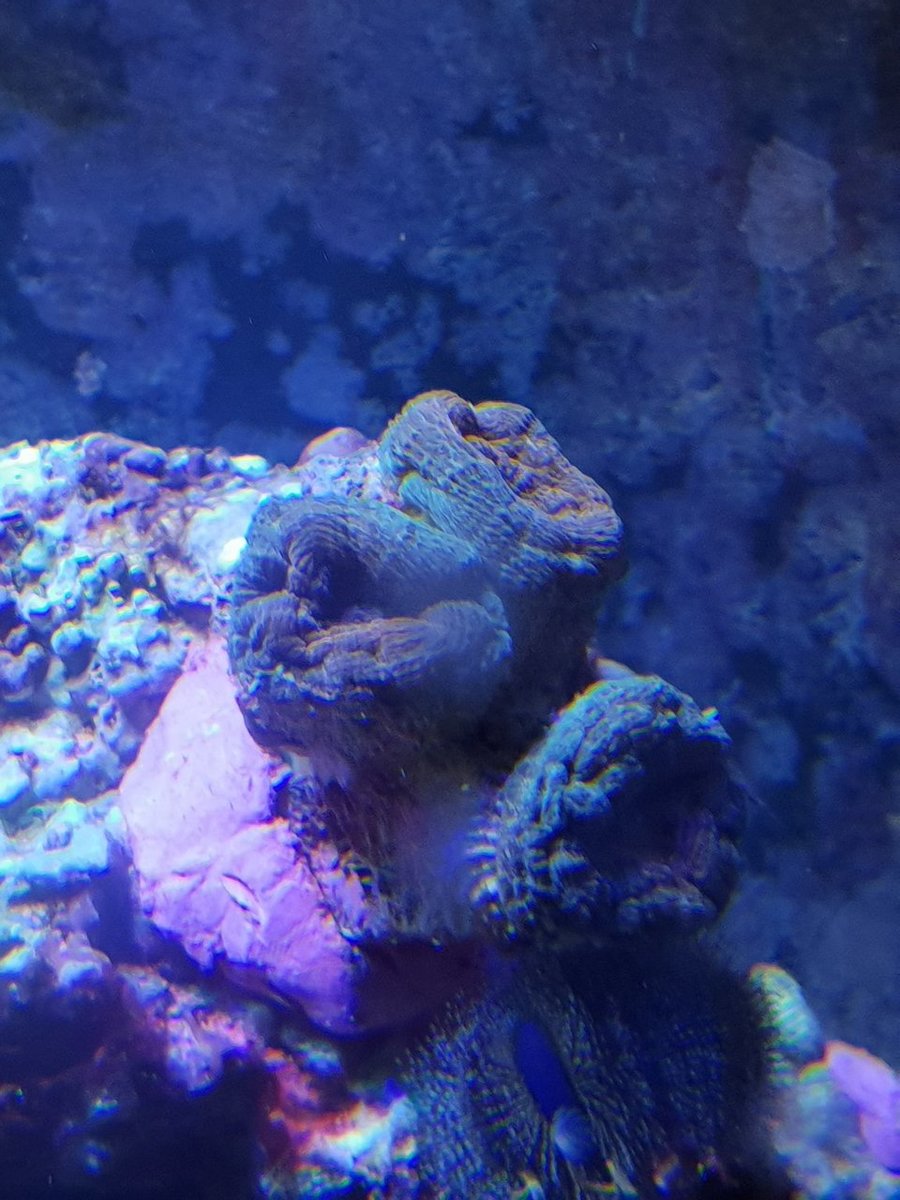 20180811_125840.jpg