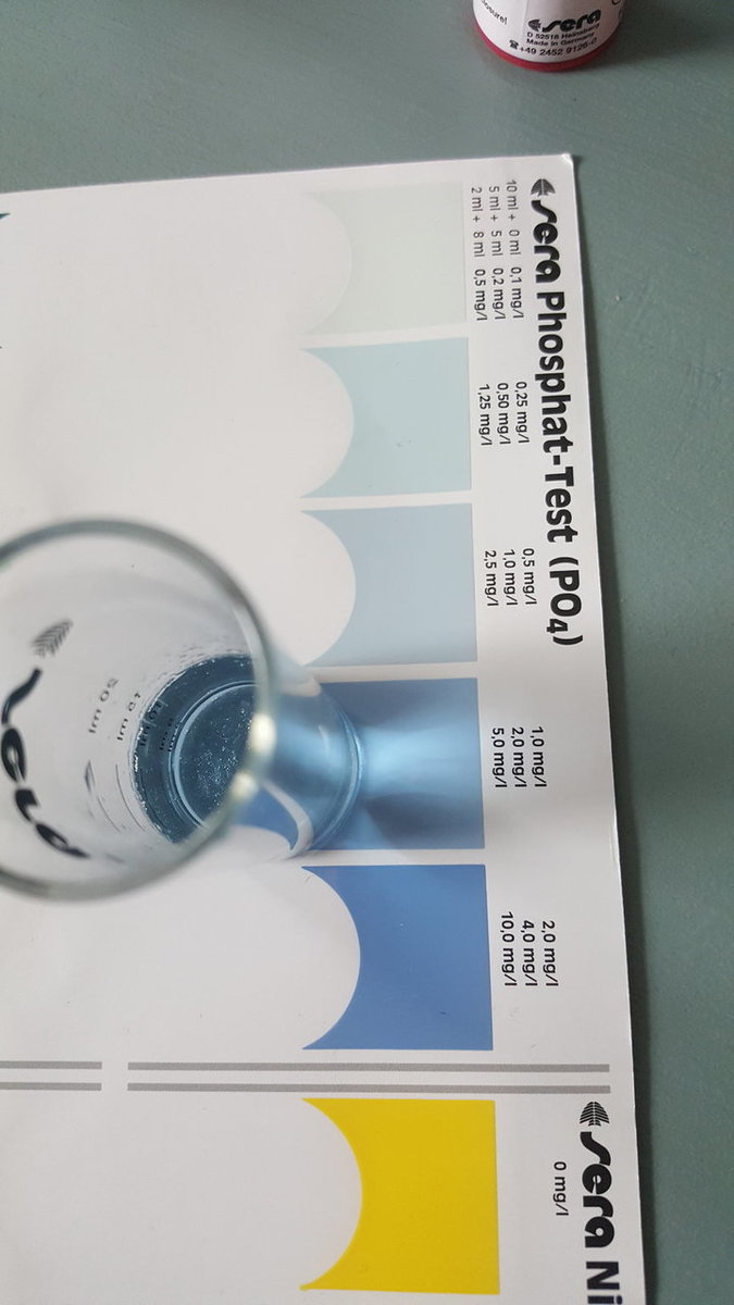 20180814_114826.jpg
