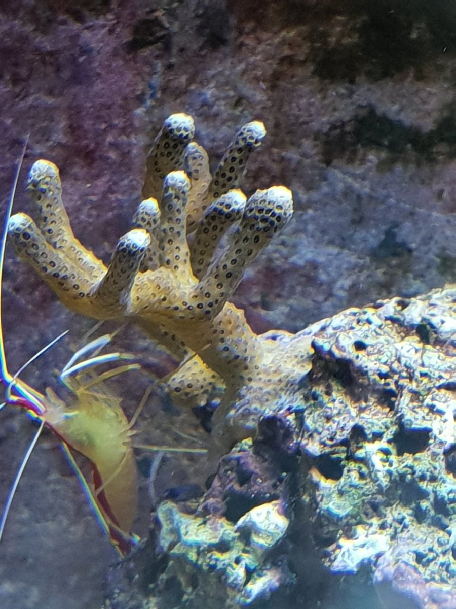 20180816_103540.jpg