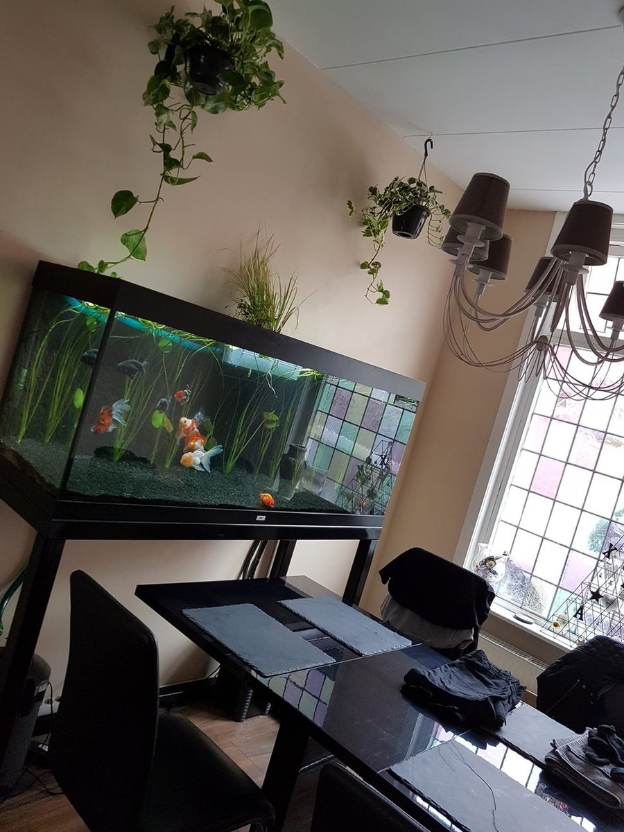 20180816_174422.jpg