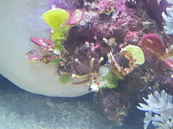 20180816_205611.jpg