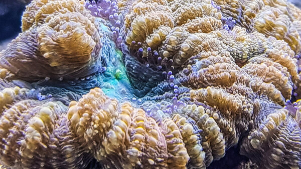 20180817_194240-2.jpg