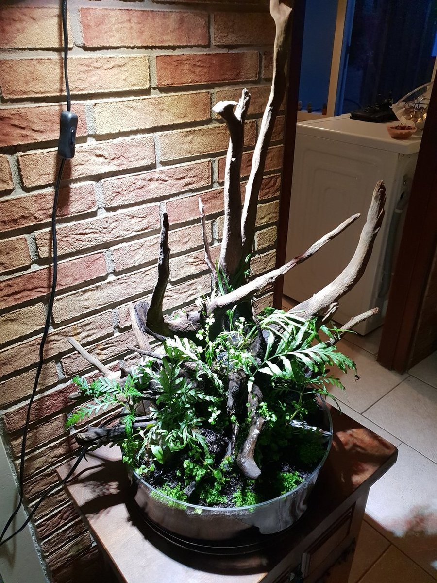 20180820_210626.jpg