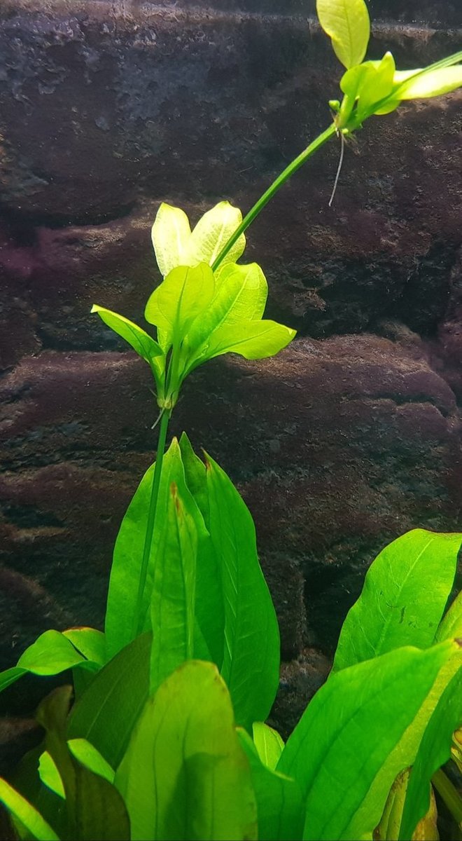 20180820_212632.jpg