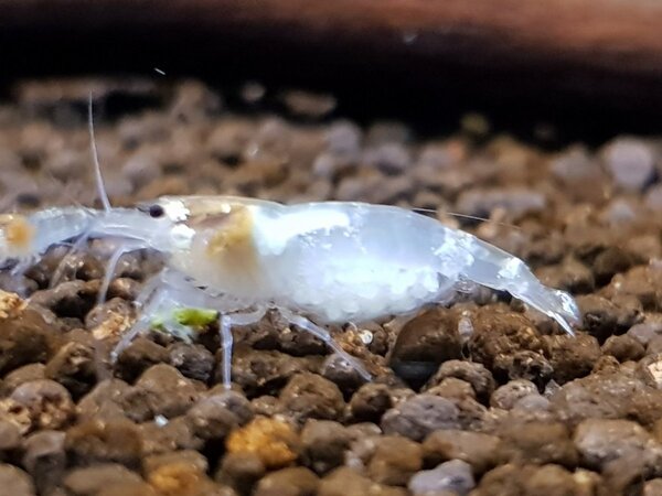 20180820_213345.jpg