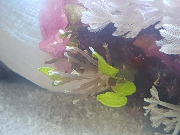 20180823_173137.jpg