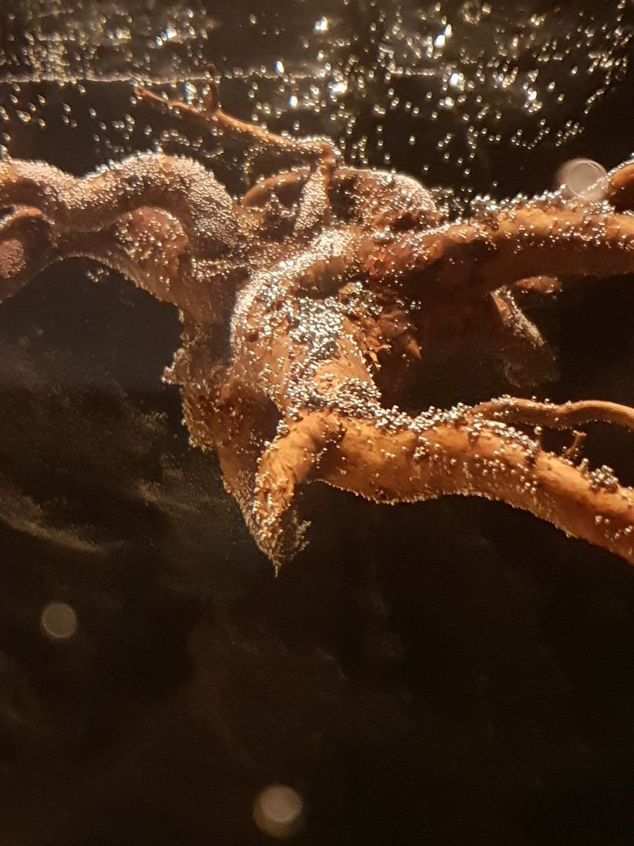 20180826_224904.jpg
