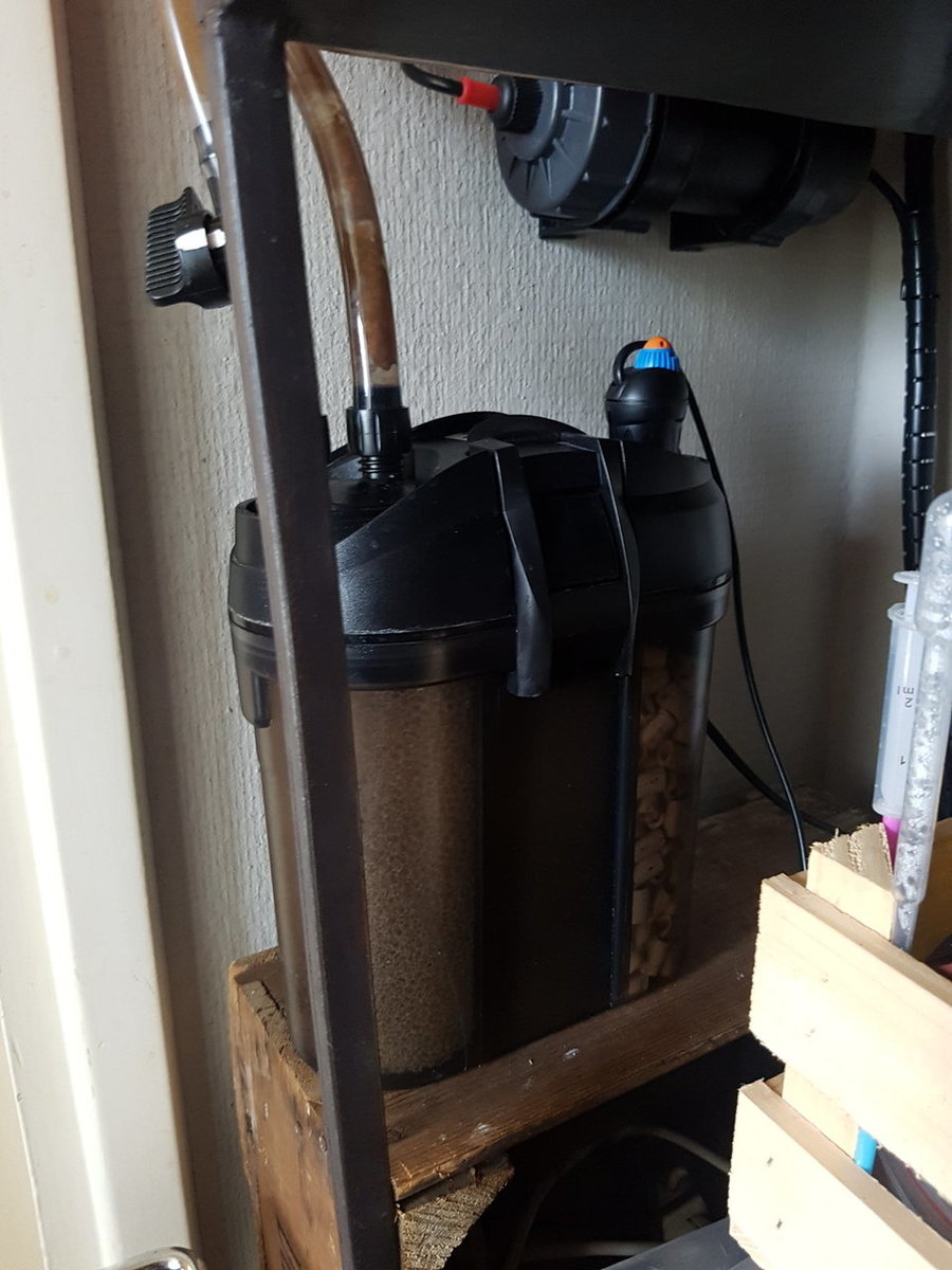 20180829_171720.jpg