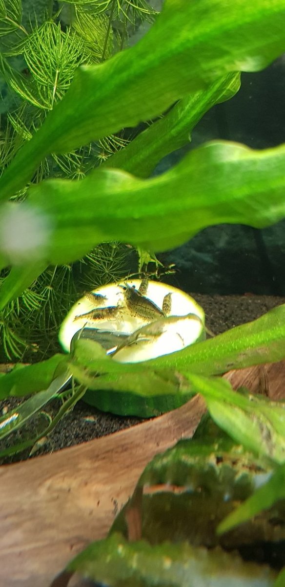 20180829_181532.jpg