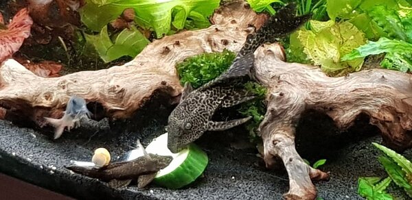 20180829_183712.jpg