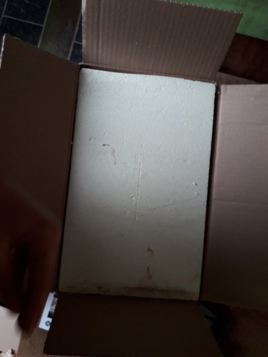 20180830_171123.jpg