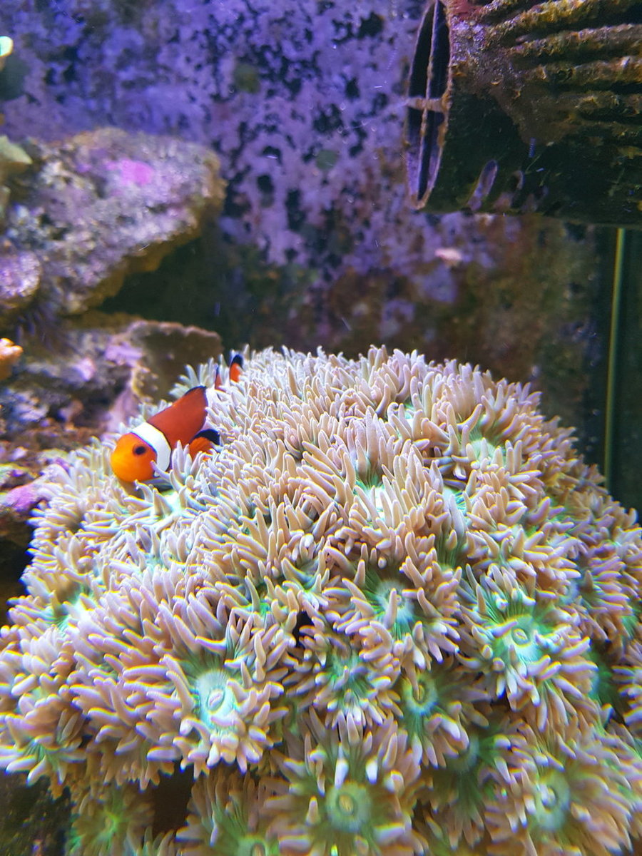 20180901_110126.jpg