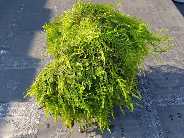 20180901_165944.jpg