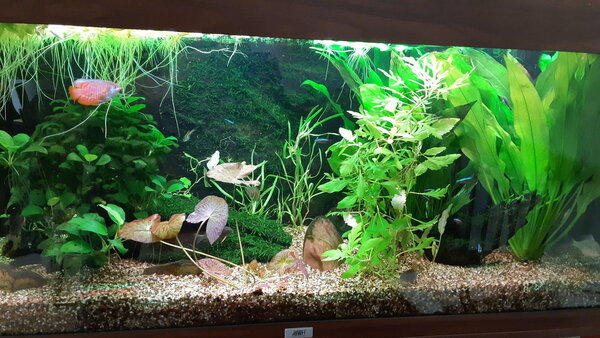 20180905_150023.jpg