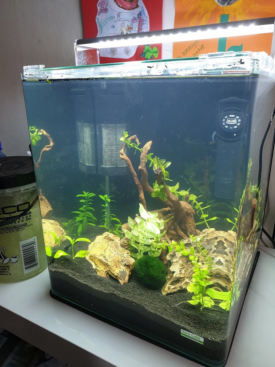 20180905_173731.jpg