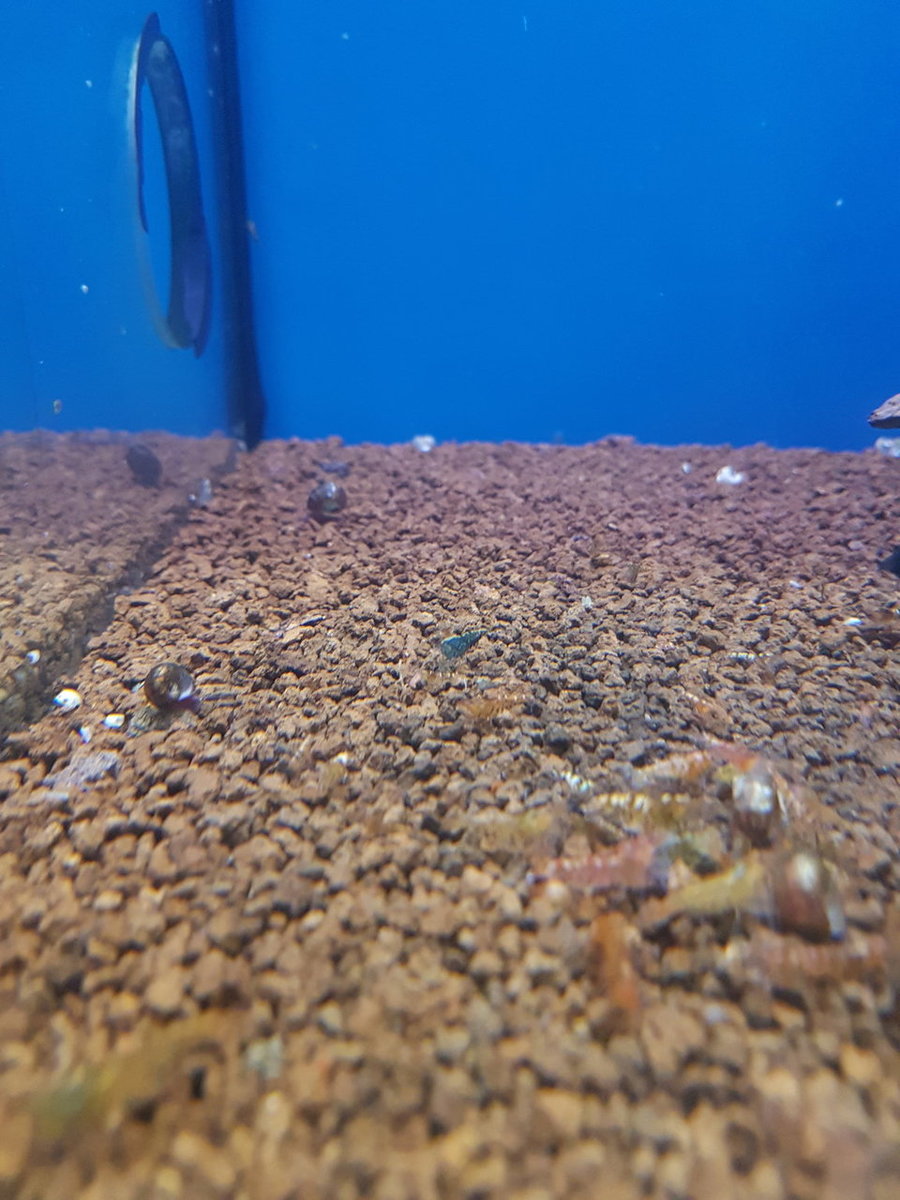 20180905_182015.jpg