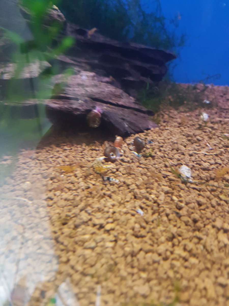 20180905_182018.jpg