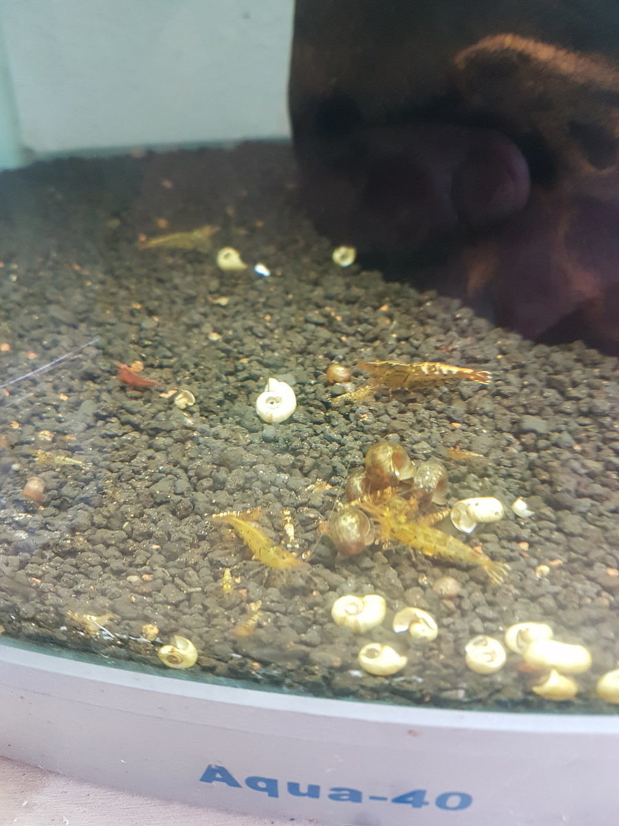 20180905_182033.jpg