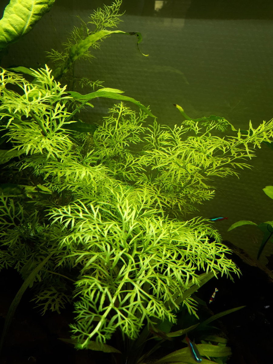 20180908_110703.jpg