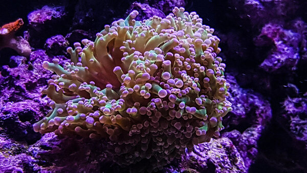 20180908_194829-2.jpg