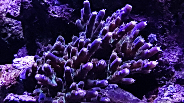 20180908_194941-2.jpg