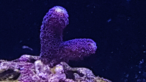 20180908_195152-2.jpg