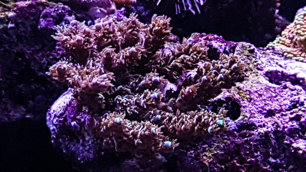 20180908_195310-2.jpg