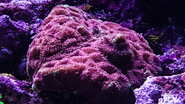 20180908_195342-2.jpg