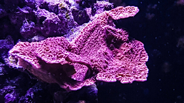 20180908_195413-2.jpg