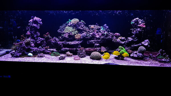 20180908_195508-2.jpg