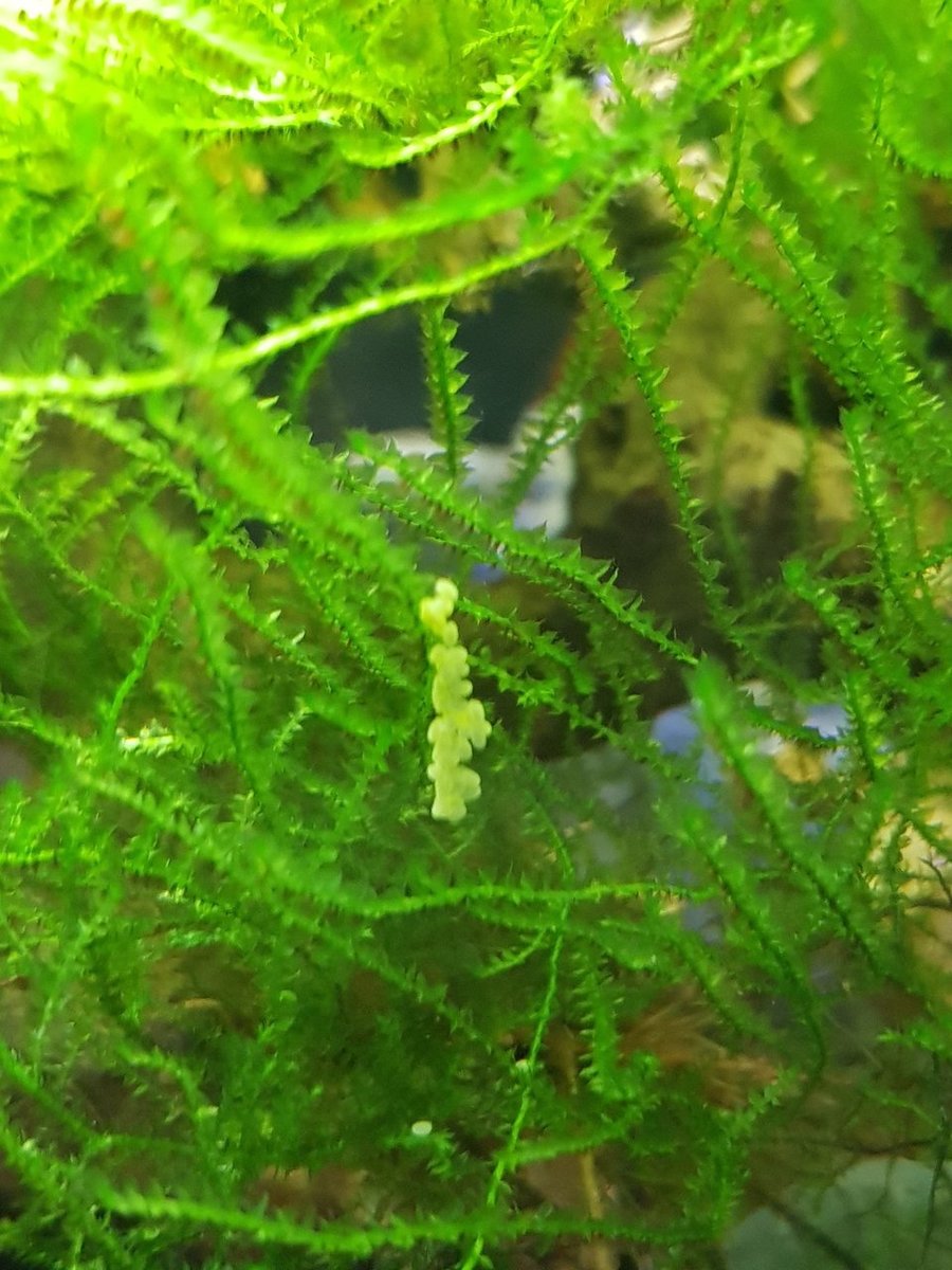 20180910_194614.jpg
