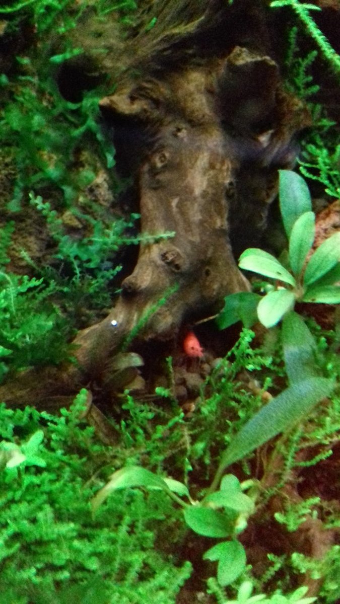 20180911_210611.jpg