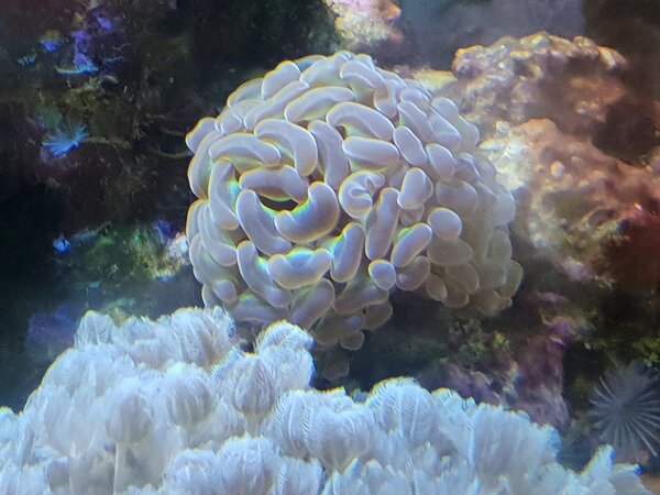 20180913_131111.jpg