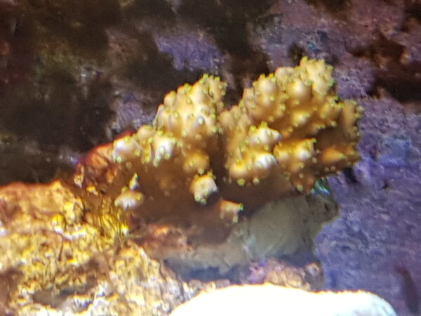 20180913_131224.jpg