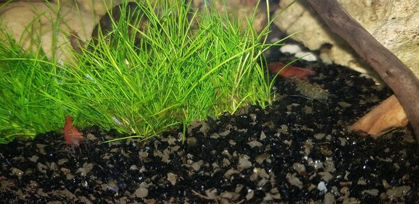 20180915_144319.jpg