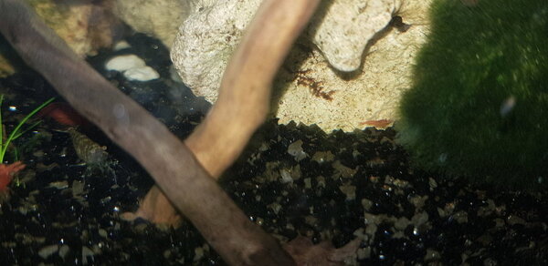 20180915_144347.jpg