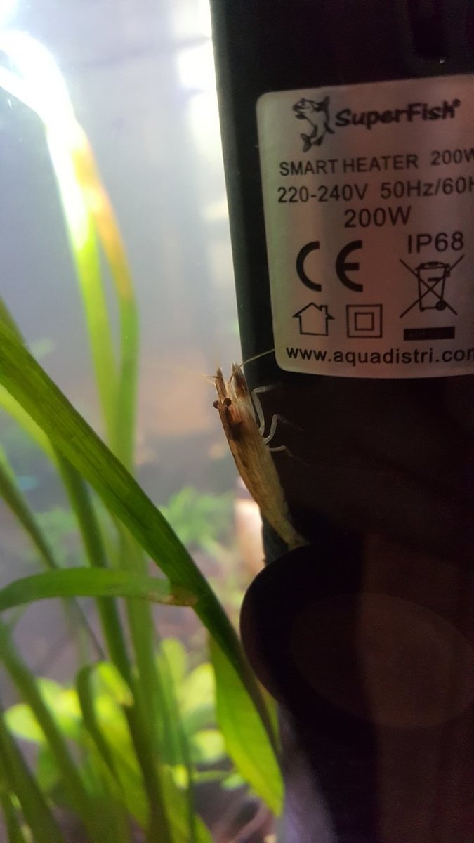 20180919_142457.jpg